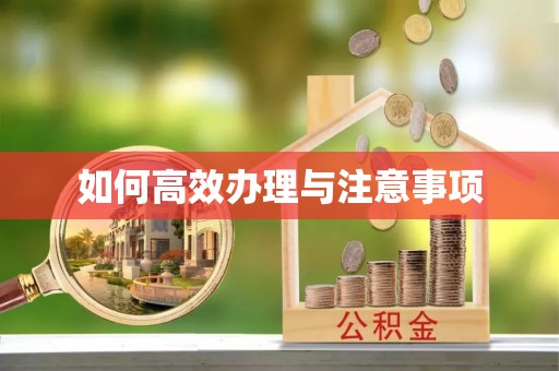 恭城如何高效办理与注意事项