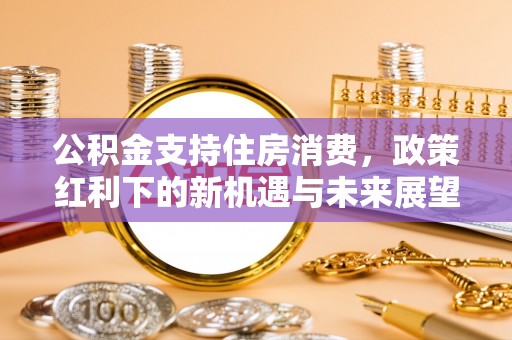恭城公积金支持住房消费，政策红利下的新机遇与未来展望