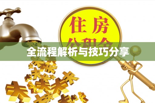 恭城全流程解析与技巧分享