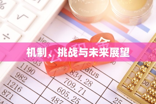 恭城机制、挑战与未来展望