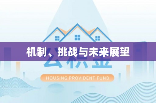 恭城机制、挑战与未来展望
